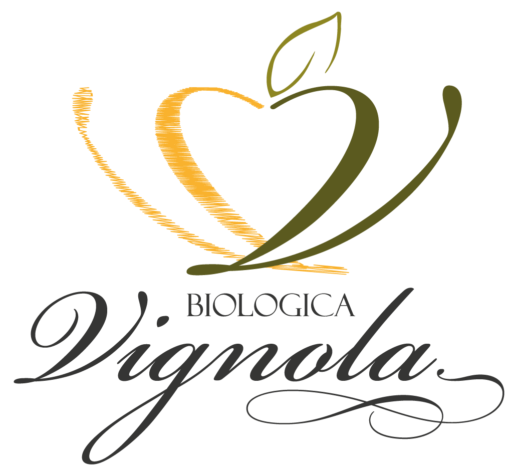 Logo dell' azienda Biologica Vifnola