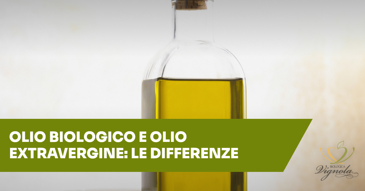 Olio biologico e olio extravergine di oliva: quali sono le differenze