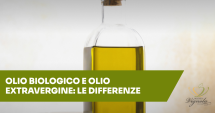 Olio biologico e olio extravergine di oliva: quali sono le differenze