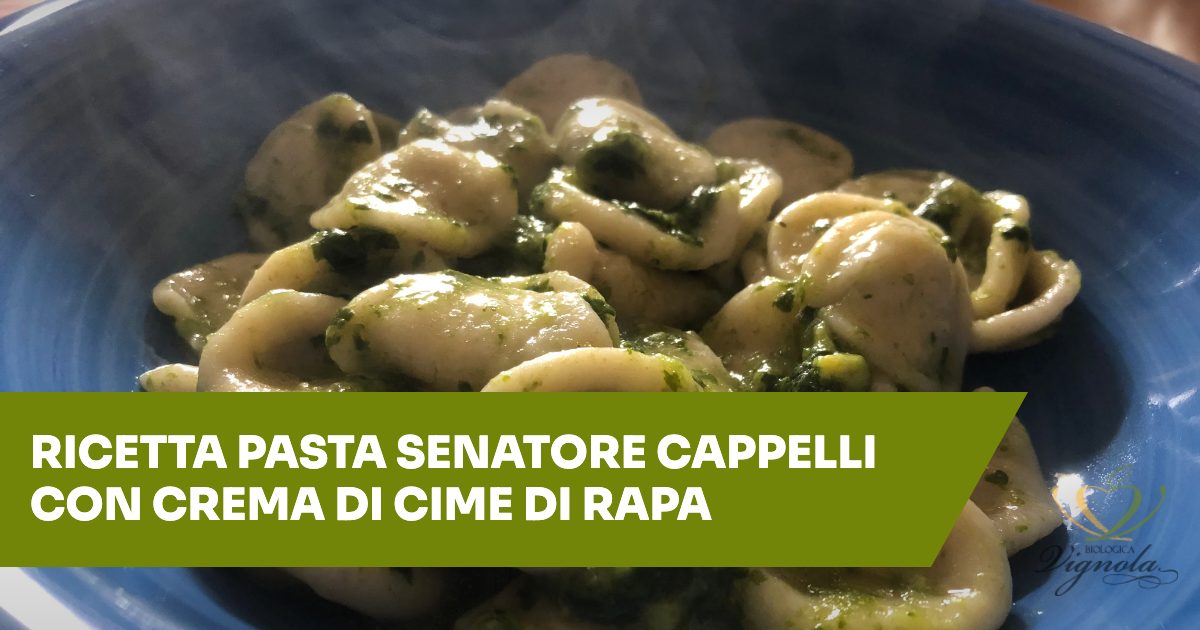 Ricetta pasta Senatore Cappelli con crema di cime di rapa
