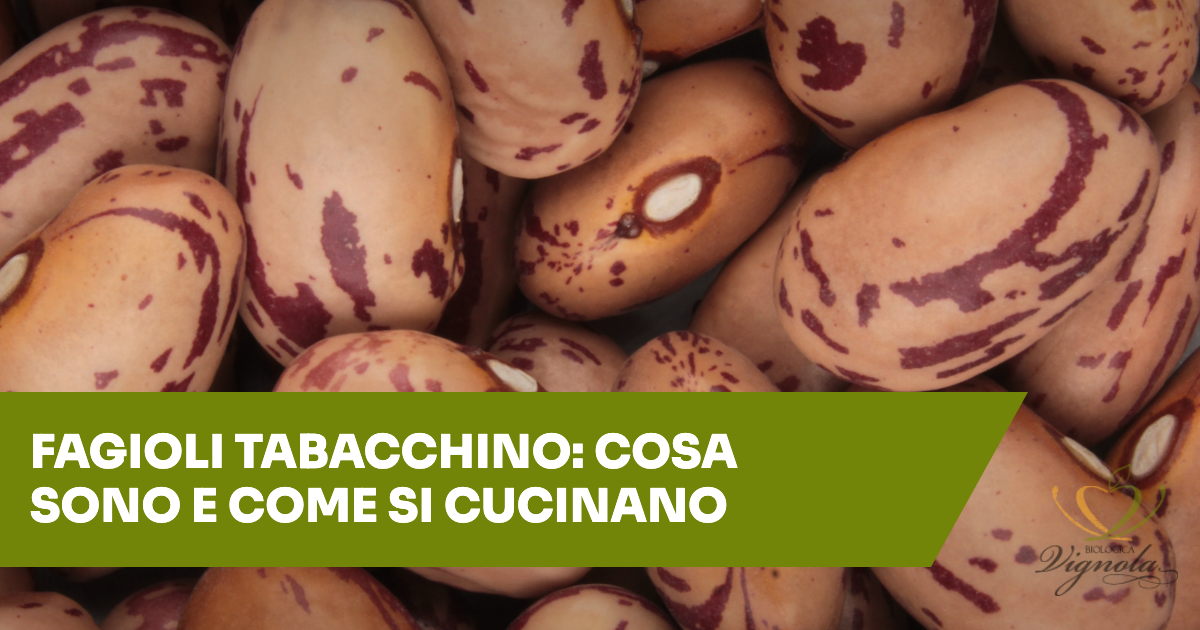 Fagioli tabacchino: cosa sono e come si cucinano