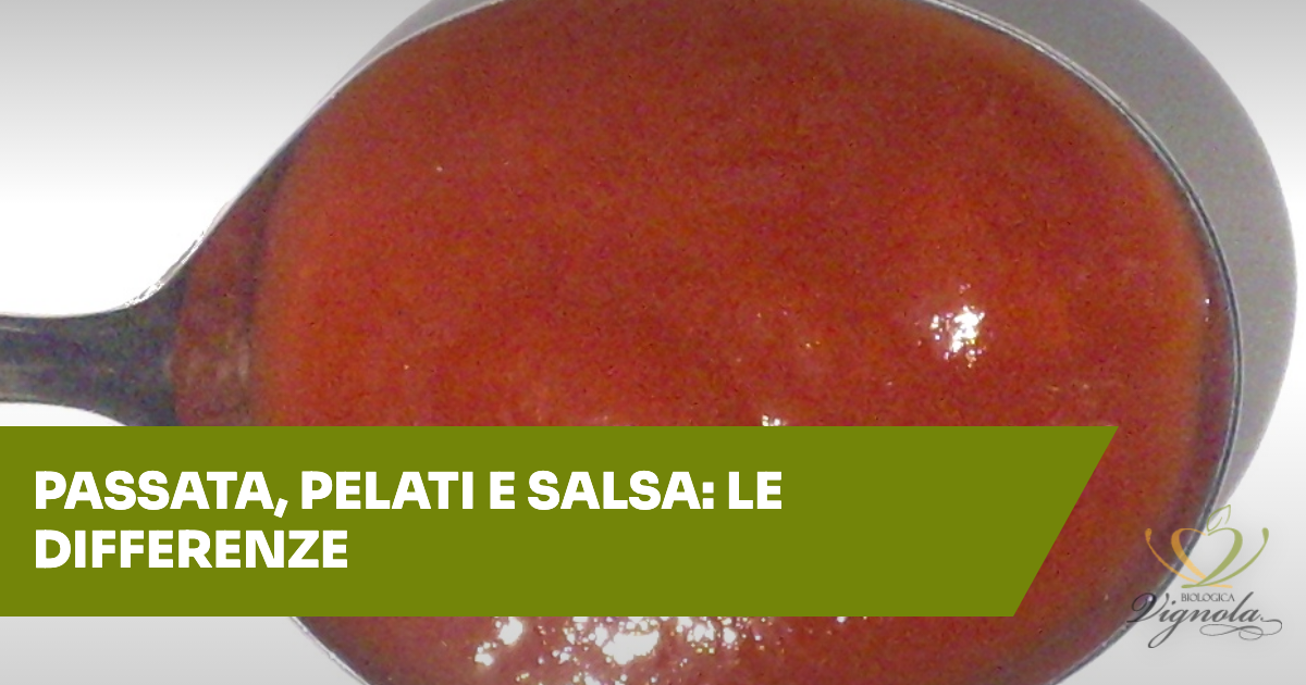 Passata, pelati e salsa di pomodoro: quali sono le differenze