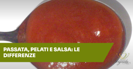 Passata, pelati e salsa di pomodoro: quali sono le differenze