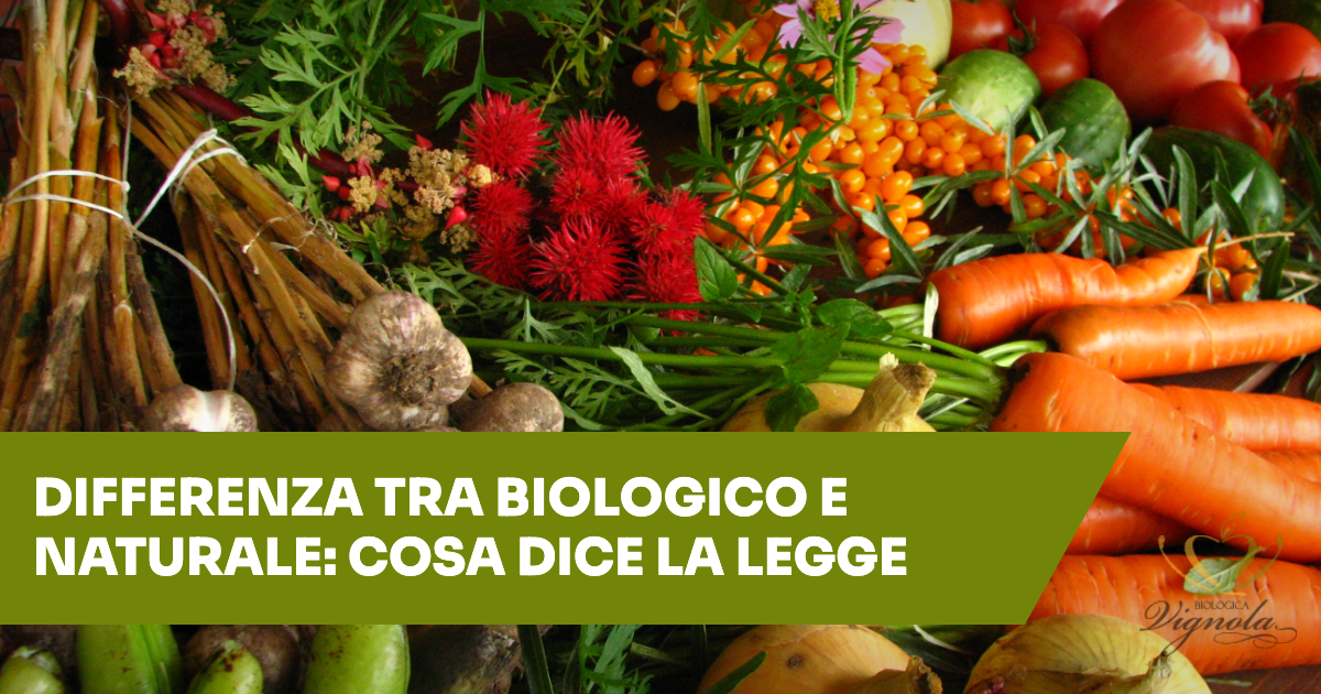 Differenza tra biologico e naturale: cosa dice la legge