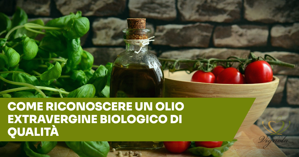 Come riconoscere un olio extravergine biologico di qualità