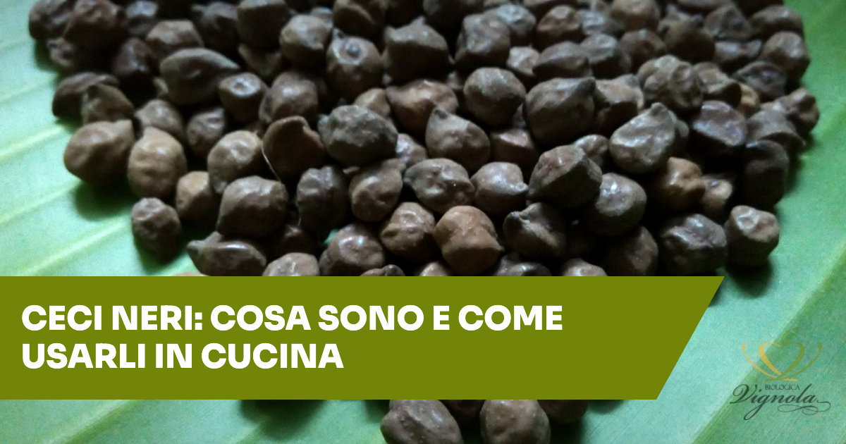Ceci neri: cosa sono, da dove vengono e come usarli in cucina